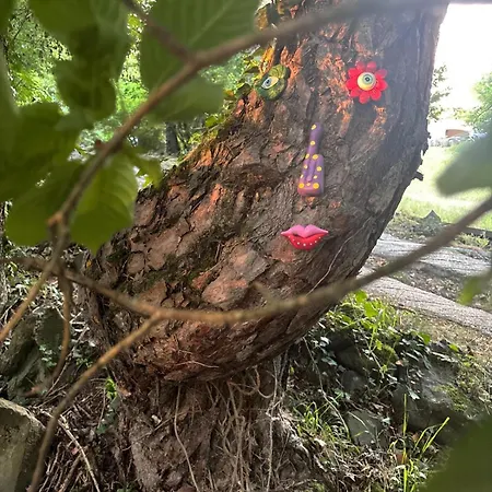 럭셔리텐트 Tiny House En Pleine Nature Arsac-en-Velay