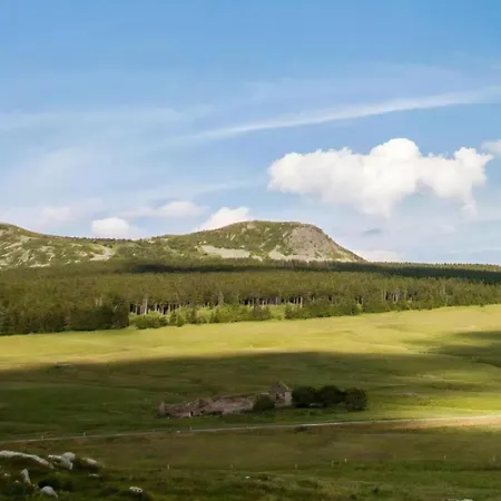 Tiny House En Pleine Nature 럭셔리텐트 *