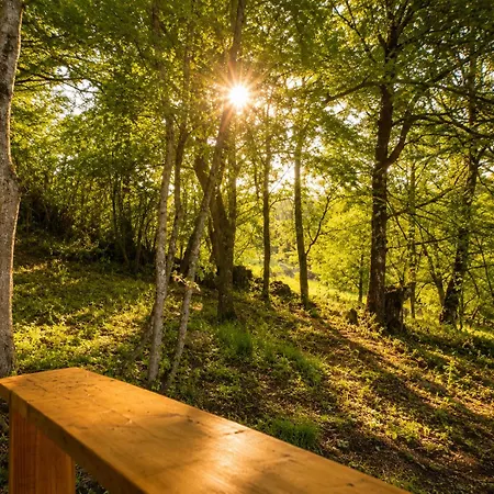 Tiny House Cosy Au Coeur Des Bois ラグジュアリーテント Arsac-en-Velay